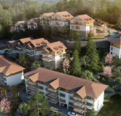 Kasauli Hill Homes